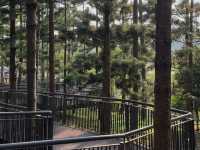 Taman Saujana Hijau: Where Dreams Go to Sweat