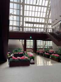 ｜韓國｜釜山Spa Land Centum City-極致放鬆汗蒸幕