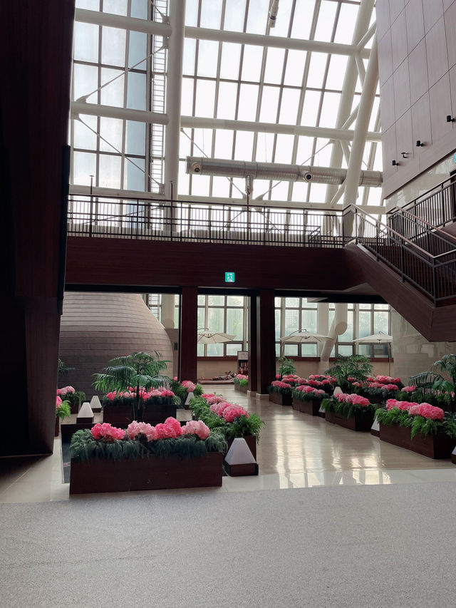 ｜韓國｜釜山Spa Land Centum City-極致放鬆汗蒸幕