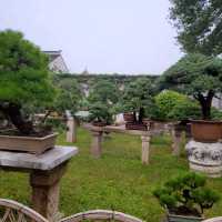 【蘇州】拙政園
