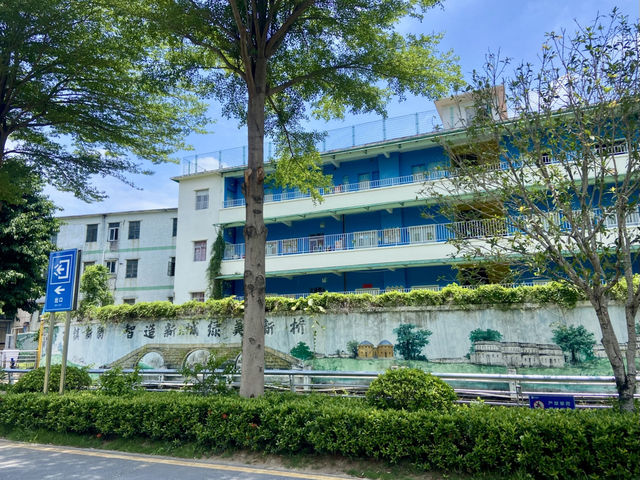 深圳萬豐湖濕地公園✨🌴城市中的自然綠洲🏞️