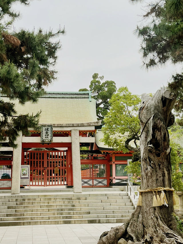 日本 大阪｜住吉大社｜五大力祈願與太鼓橋的靈氣巡禮