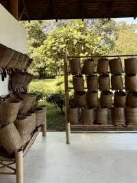 Araksa Tea Garden - Chiangmai Thailand 
