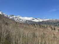 五月雪的層雲峽