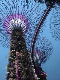 Light And Sound Show ที่ Gardens By The Bay