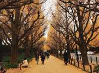 🍁 東京的秋天，把金黃鋪滿了整條街道。