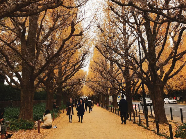 🍁 東京的秋天，把金黃鋪滿了整條街道。