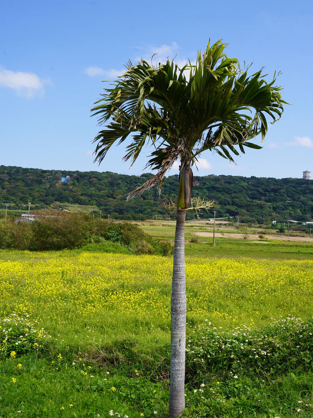 海・空・風、すべてがご褒美。Yuukiの丘から眺める与論ブルー