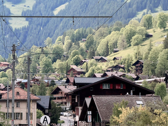 Peaceful Stroll Through Grindelwald Village