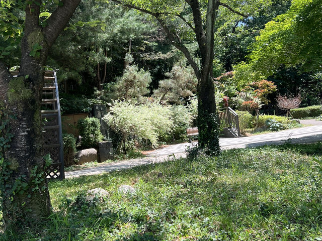 앨리스 유아숲 체험원