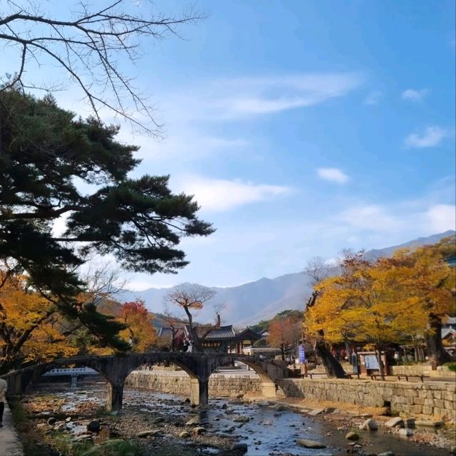 A Day at Tongdosa