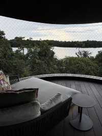 Mandai Rainforest Resort by Banyan Tree: A Retreat Where Trees Become Neighbors