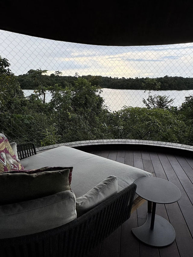 Mandai Rainforest Resort by Banyan Tree: A Retreat Where Trees Become Neighbors