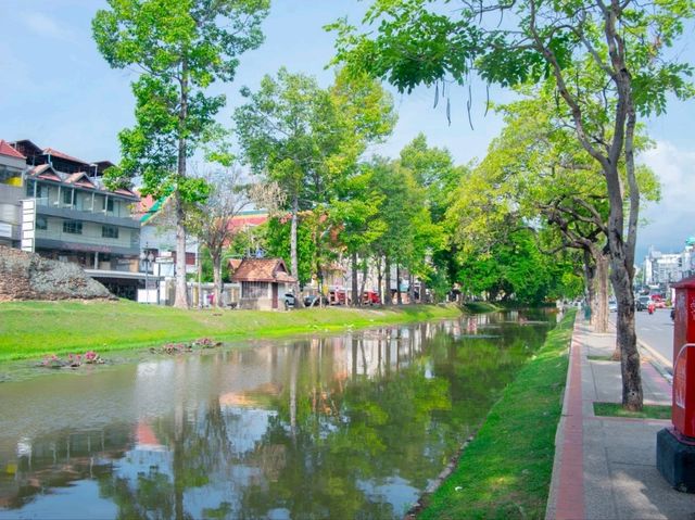 ประตูช้างเผือก เชียงใหม่ 