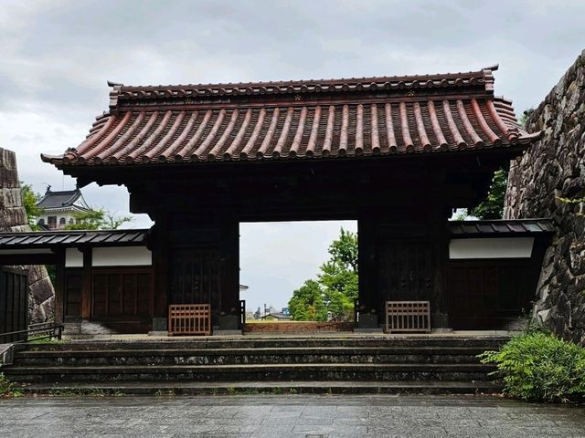 富山城跡公園，城市中的綠意時光