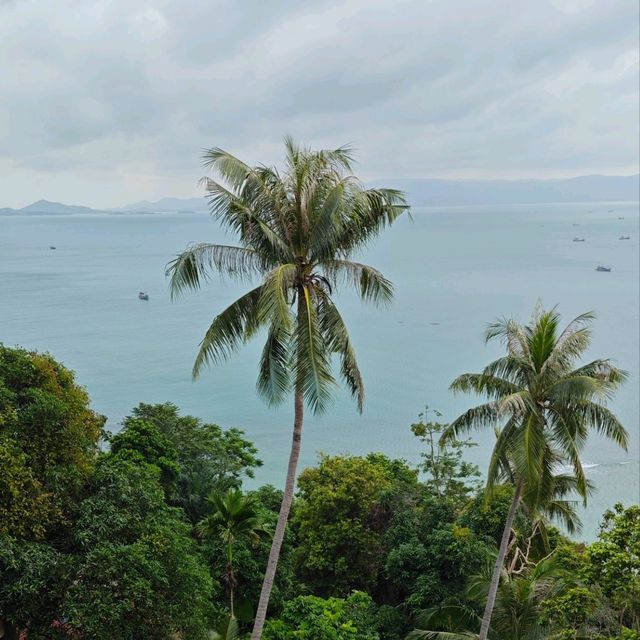 🌴🌅 **逃離地球指南｜帕岸島的100種沉淪方式** 🏍️🧘‍♀️  