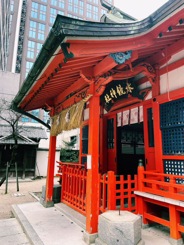 후쿠오카 도심 속 작은 신사 ⛩️ 