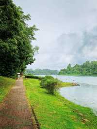 MacRitchie Reservoir 