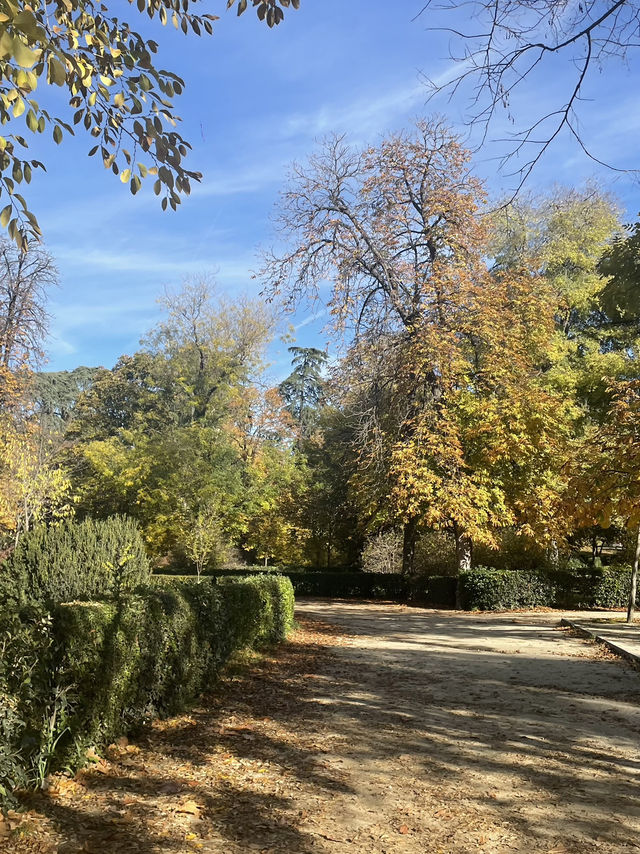 【マドリードに行くなら絶対に行ってほしい！世界遺産の公園】