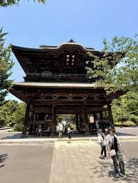 Summer Escape to Kamakura: Ancient Temples, Ocean Breezes & Hydrangea Magic