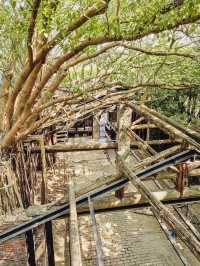 🌳🏰 Anping Treehouse: Tainan’s Enchanting Ruin Reclaimed by Nature