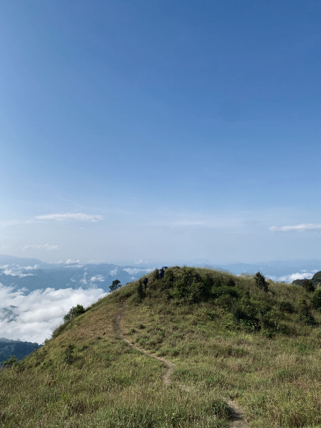 ดอยจอวาเล x ทูเล จ.ตาก ⛰️