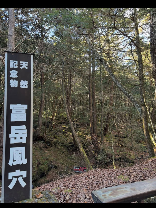 ❄️夏でもひんやり！神秘の洞窟・富岳風穴で非日常体験🌋