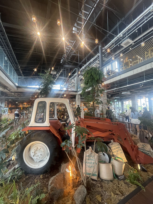 Jejudang - One of the biggest bakery cafe in Jeju that should not be missed