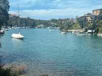 Sydney Stroll: Mosman Bay to Cremorne Point 🇦🇺🚶‍♀️