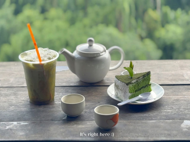 🌿☁️ “ไร่ชาลุงเดช” แม่แตง เชียงใหม่ 💚