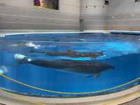 実は九州イチの大きさ！いおワールド鹿児島水族館