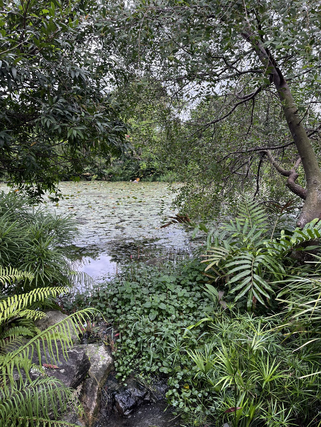 Kingfisher Wetlands: Hidden Gem of Nature at Gardens by the Bay
