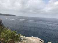 🌅 Watsons Bay – Laid-back Coastal Charm with Harbour Views