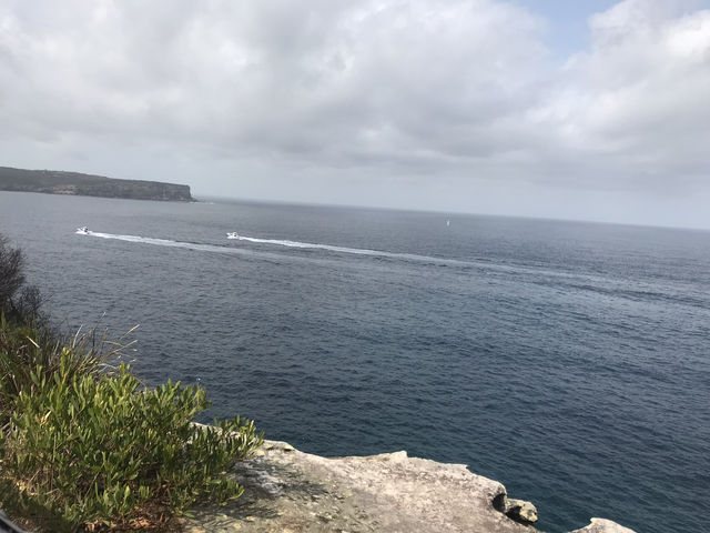 🌅 Watsons Bay – Laid-back Coastal Charm with Harbour Views
