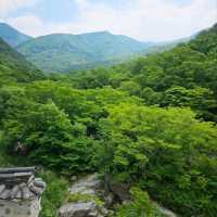History, Nature & Zen Vibes at Pyochungsa Temple