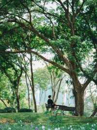 พาเที่ยว สวนวชิรเบญจทัศ
