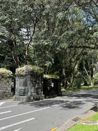 Cornwall Park｜城市裡的綠野仙蹤 