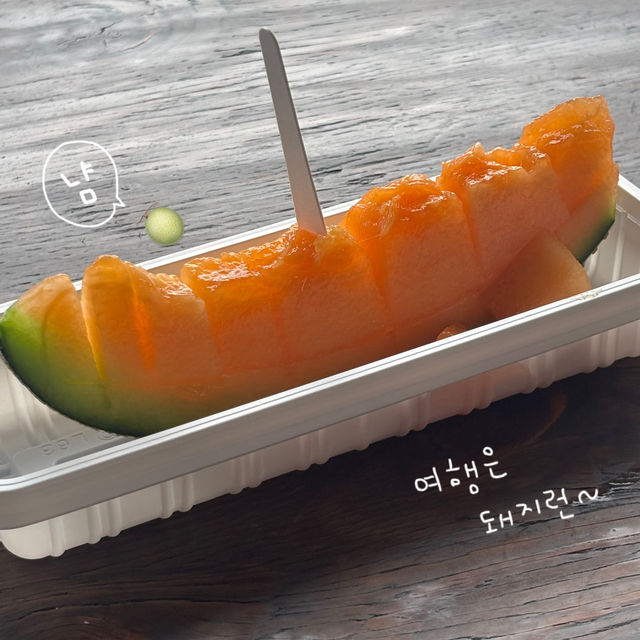 🇯🇵삿포로 여행 | 맛집, 예쁜 거리, 힐링 버스투어까지 꽉 채운 2박 3일