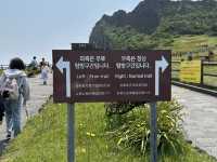My Amazing Seongsan Ilchulbong Adventure! ☀️⛰️