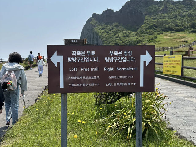 My Amazing Seongsan Ilchulbong Adventure! ☀️⛰️