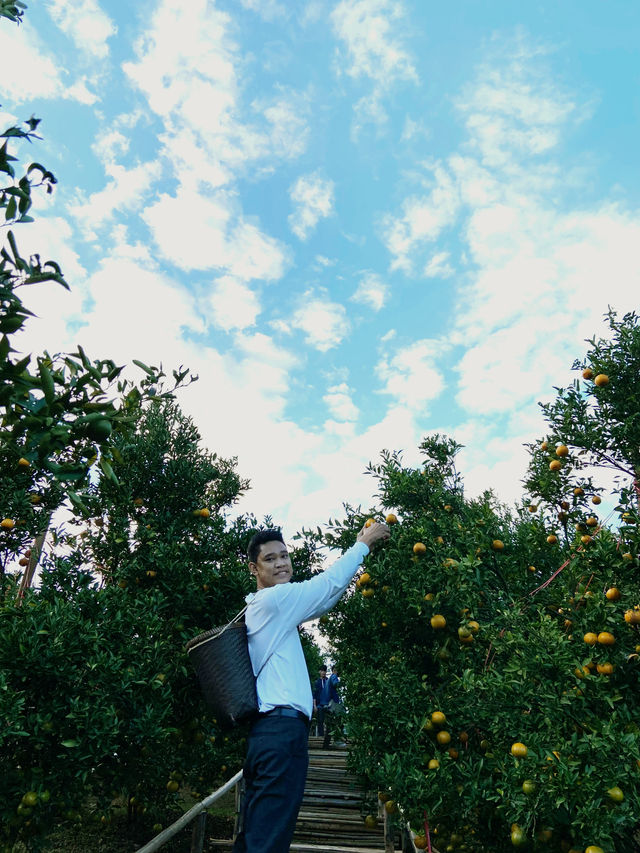 รีวิว Orange Garden “My Garden” – ม่อนแจ่ม 🍊