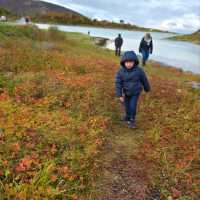 Daytime Delight: A Sommarøy Sojourn