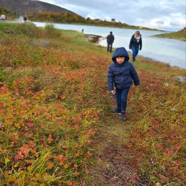 Daytime Delight: A Sommarøy Sojourn