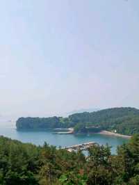 멋진 경치 감상