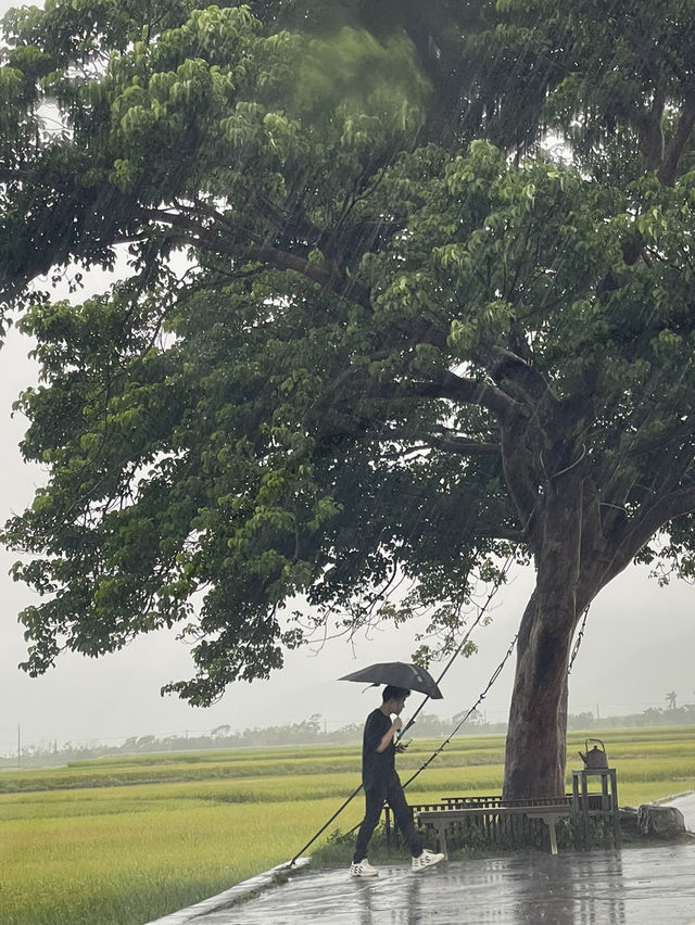 💦雨天版伯朗大道｜金城武樹水鏡奇景 ，其實遺憾也是旅途的一部分！