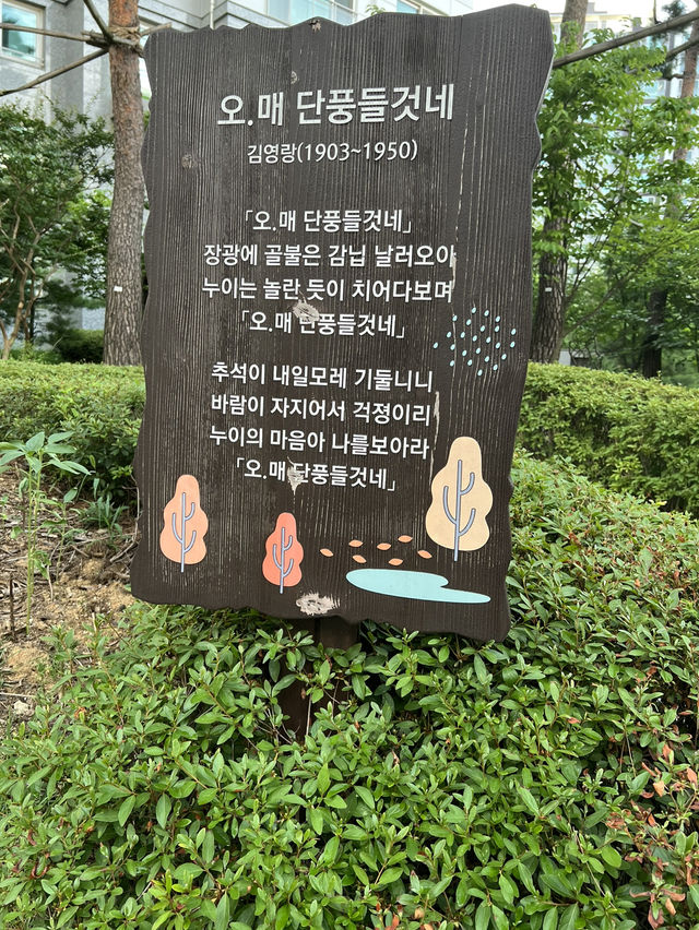 수풀공원의 꽃들