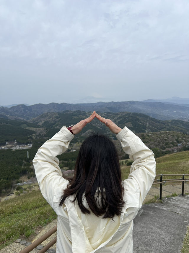 *壯觀*、*全景*、*神聖*、*夢幻*。🌿  你最想親身感受哪一種感覺？