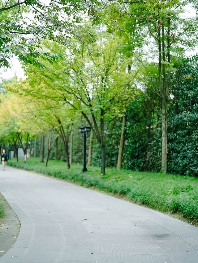 สวนสาธารณะหนานเจียว (Nanjiao)