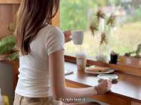 🌾☕ Pai Coffee Studio – จิบกาแฟกลางทุ่ง ที่ปาย