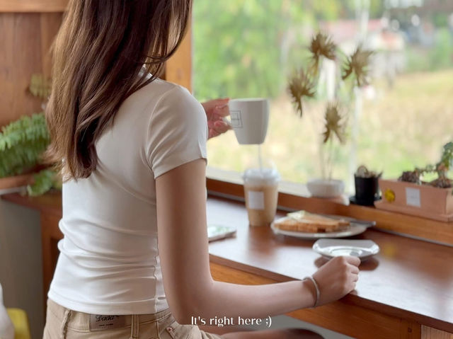🌾☕ Pai Coffee Studio – จิบกาแฟกลางทุ่ง ที่ปาย